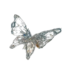 Mariposa de Cristal #1